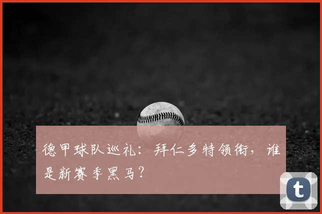 德甲球队巡礼：拜仁多特领衔，谁是新赛季黑马？